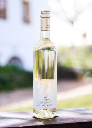 Müller Thurgau Frizzante