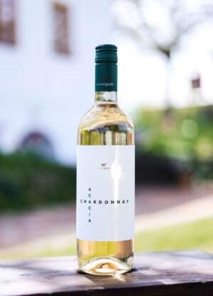 Chardonay Acacia