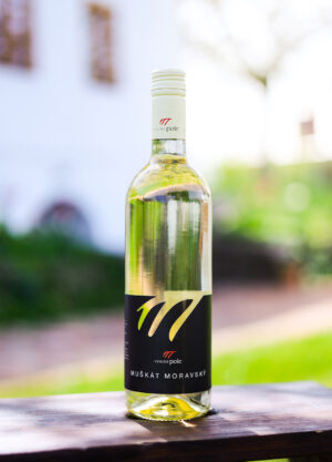 Muškát moravský 2025