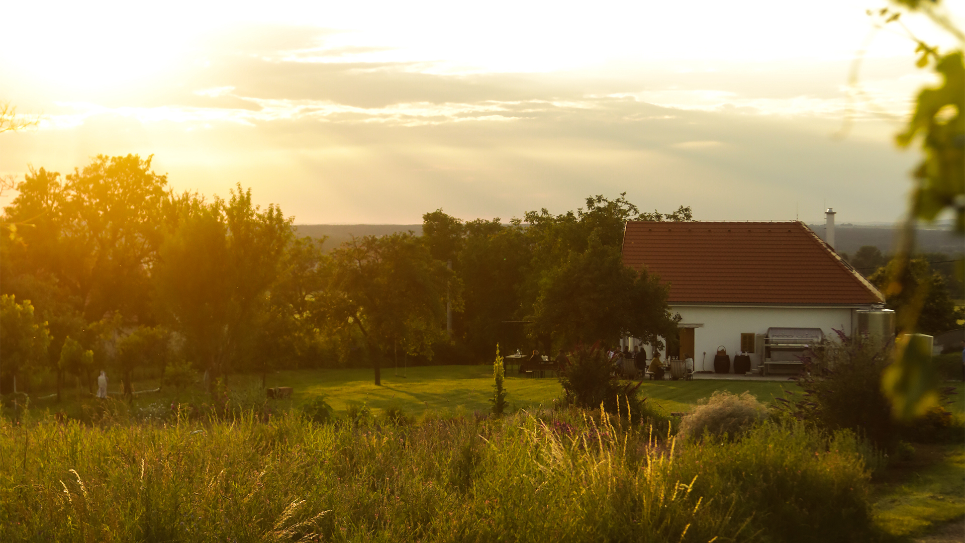 Vysoké pole - pivnica